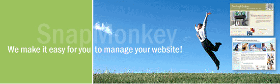 Online marketing solutions - SnapMonkey makes it easy for you to manage your website